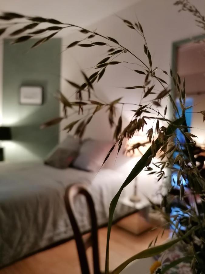 La Robiniere Maison D'Hotes مو بري شانبورْ المظهر الخارجي الصورة